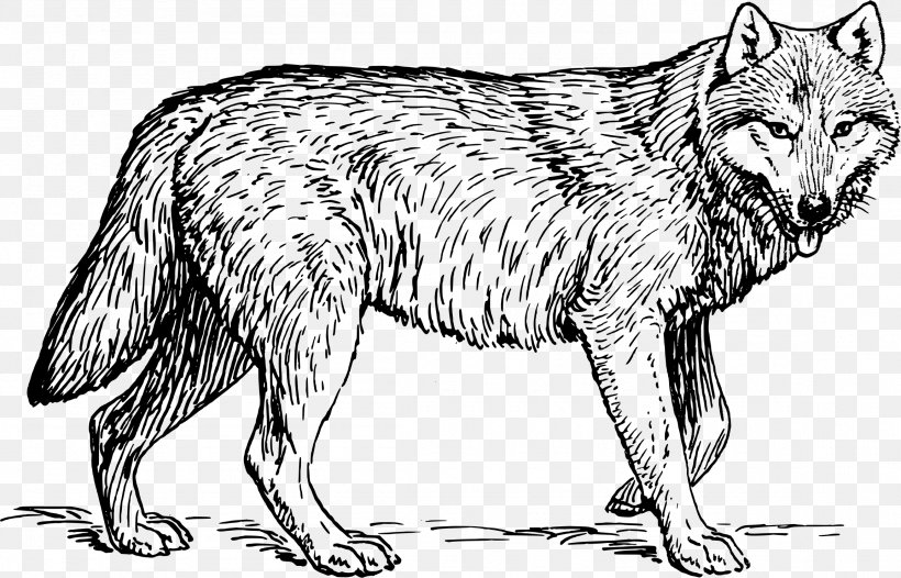 Drawing Clip Art, PNG, 2305x1480px, Drawing, Arctic Wolf, Artwork, Black And White, Black Wolf Download Free