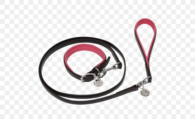 Leash Stethoscope Computer Hardware, PNG, 500x500px, Leash, Computer Hardware, Fashion Accessory, Hardware, Stethoscope Download Free