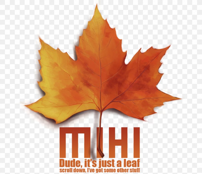 Maple Leaf Art Word, PNG, 844x726px, Maple Leaf, Art, Leaf, Maple, Plant Download Free