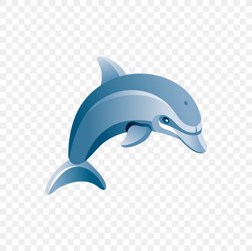 Common Bottlenose Dolphin Tucuxi Blue Illustration, PNG, 1600x1600px, Common Bottlenose Dolphin, Animation, Blue, Cartoon, Dolphin Download Free