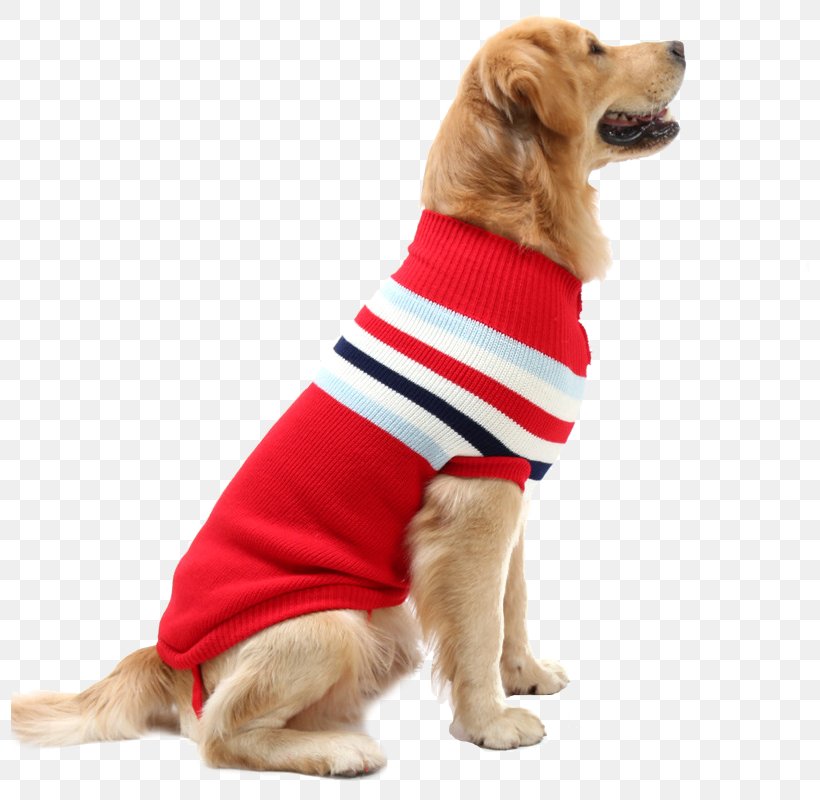 Puppy Golden Retriever Sweater Dog's Fashion Pet, PNG, 800x800px, Puppy, Carnivoran, Clothing, Coat, Companion Dog Download Free