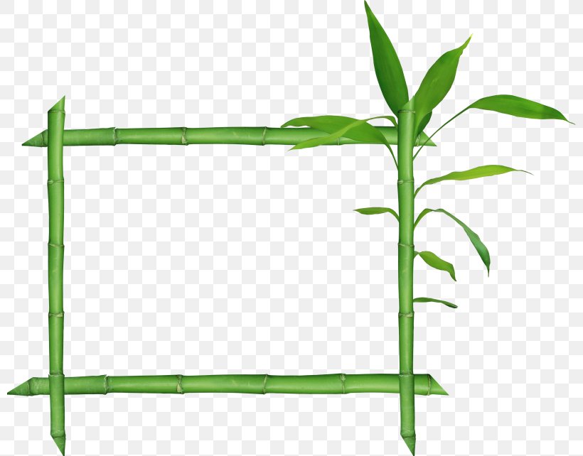 Bamboo Raster Graphics Clip Art, PNG, 800x642px, Bamboo, Film Frame, Grass, Grass Family, Leaf Download Free