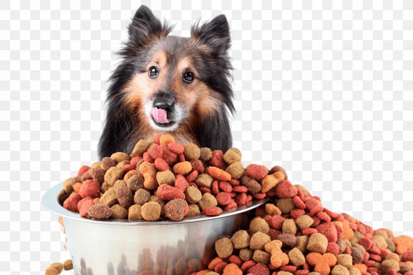 Dog Cat Nutrient Pet Food Pet Shop, PNG, 2500x1668px, Dog, Carnivoran, Cat, Dog Breed, Dog Food Download Free