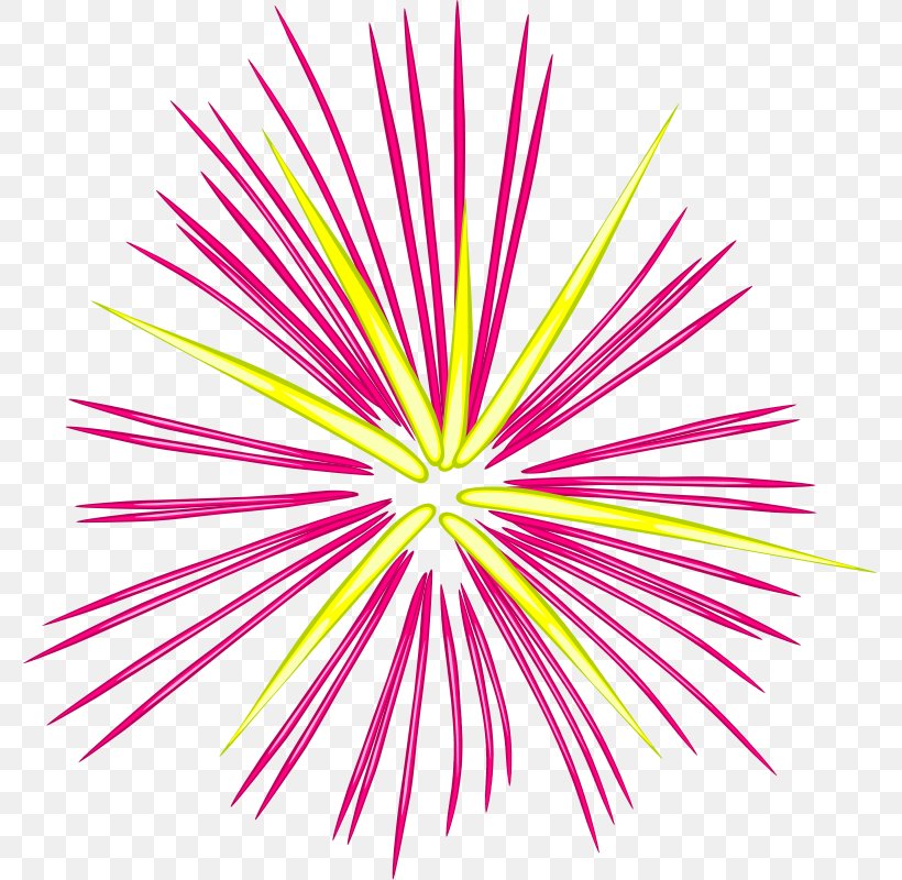 Fireworks Clip Art, PNG, 777x800px, Electric Spark, Flower, Magenta, Pattern, Petal Download Free