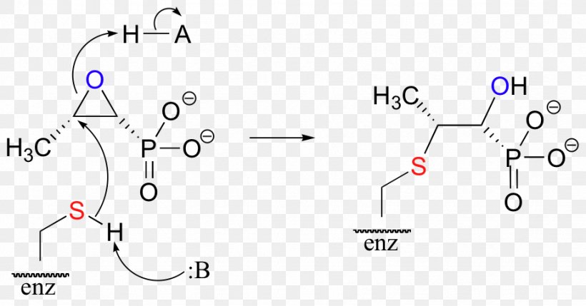 Fosfomycin Chemical Reaction Electrophile Epoxide Cysteine, PNG, 924x484px, Fosfomycin, Area, Biochemistry, Chemical Reaction, Cysteine Download Free
