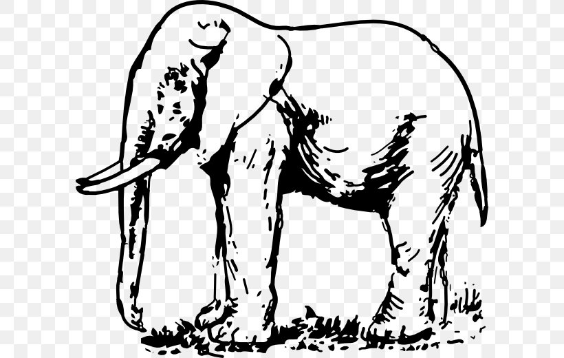 Indian Elephant Clip Art, PNG, 600x520px, Elephant, Art, Asian Elephant, Bird, Black And White Download Free