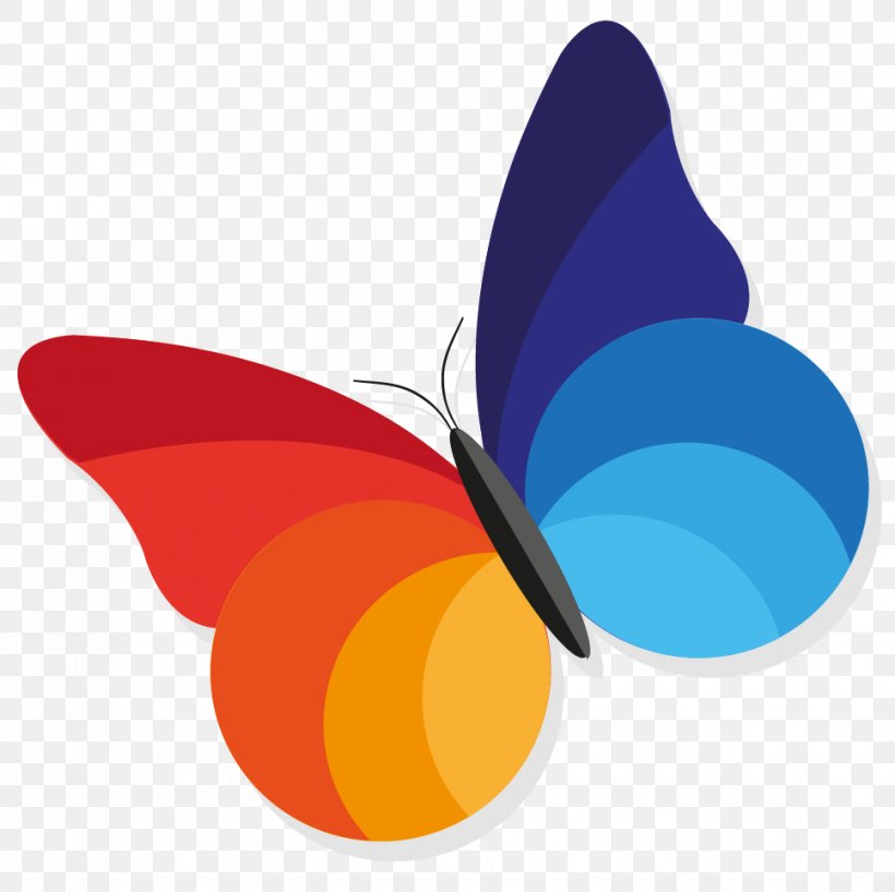 Papillon Web Internet Web Design, PNG, 967x965px, Papillon Web, Advertising Agency, Butterfly, Digital Agency, Ecommerce Download Free