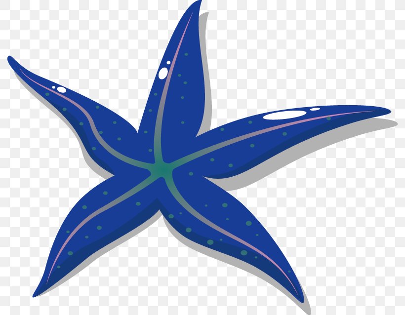 Starfish Drawing, PNG, 790x638px, Starfish, Biology, Blue, Cobalt Blue, Drawing Download Free
