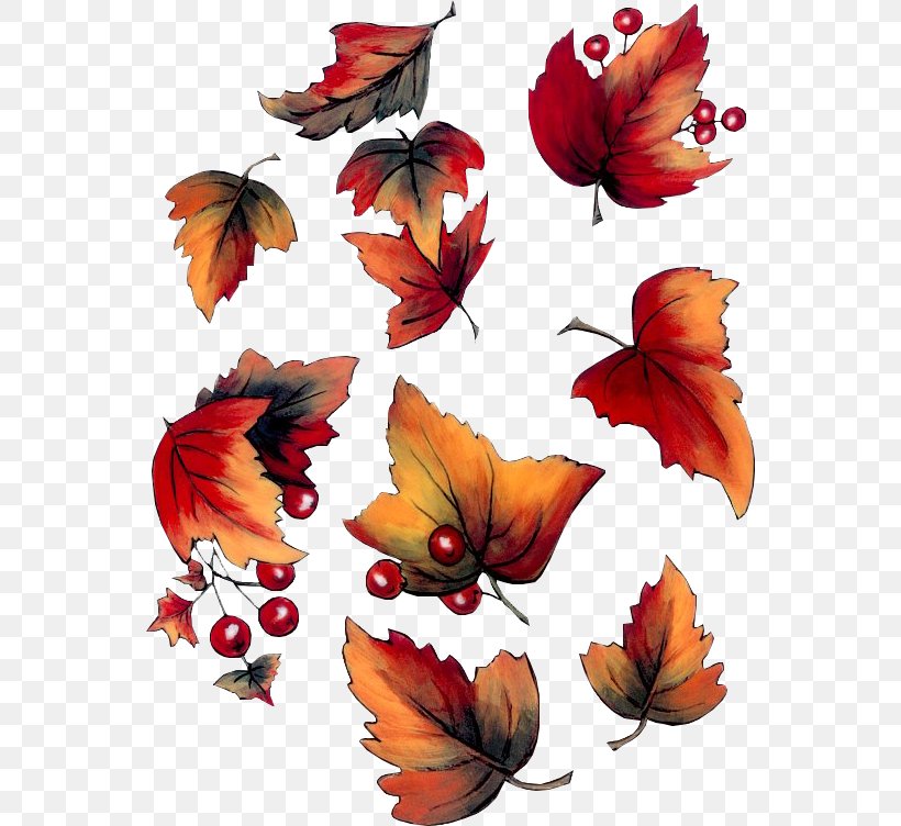 Autumn English Clip Art, PNG, 554x752px, Autumn, Blog, Butterfly, Child, English Download Free