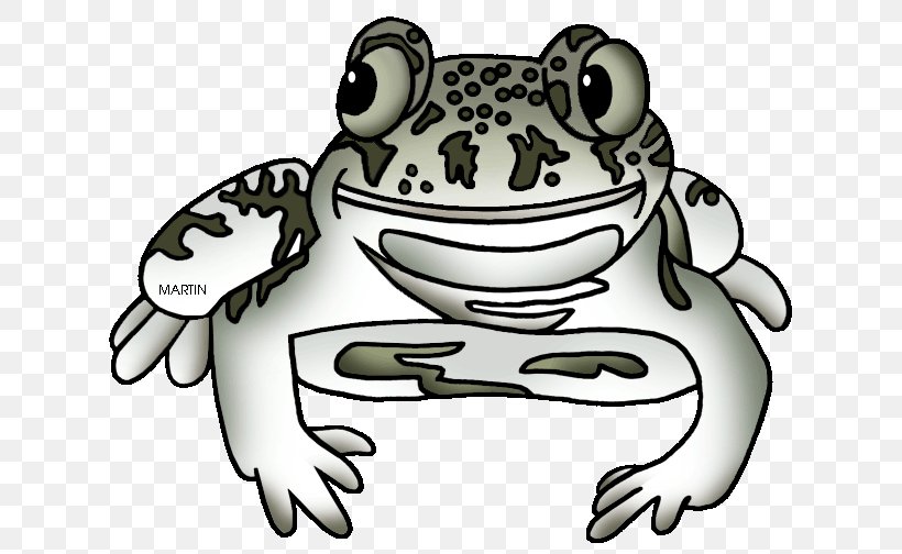 Toad True Frog Tree Frog Clip Art, PNG, 648x504px, Toad, Amphibian, Artwork, Black And White, Carnivora Download Free