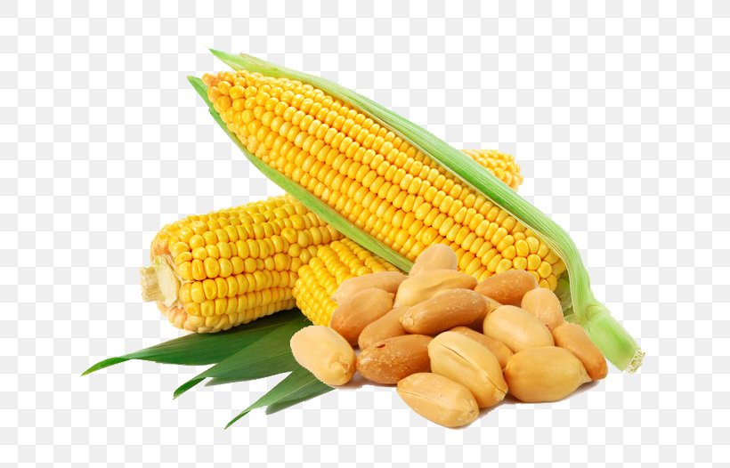 Waxy Corn Flint Corn Corn Flakes Sweet Corn Vegetable, PNG, 658x526px, Waxy Corn, Cereal, Commodity, Corn Flakes, Corn Kernel Download Free