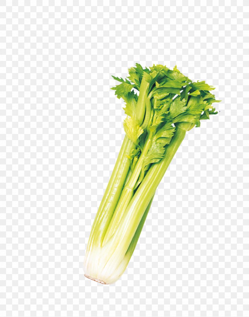 Celery Chard Icon, PNG, 984x1250px, Celery, Borage, Chard, Fennel, Food Download Free