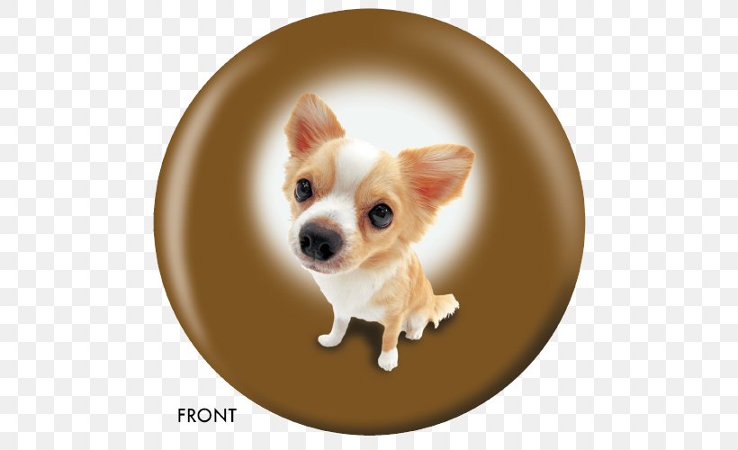 Chihuahua Puppy Dog Breed Companion Dog Golden Retriever, PNG, 500x500px, Chihuahua, Beagle, Boston Terrier, Breed, Bulldog Download Free