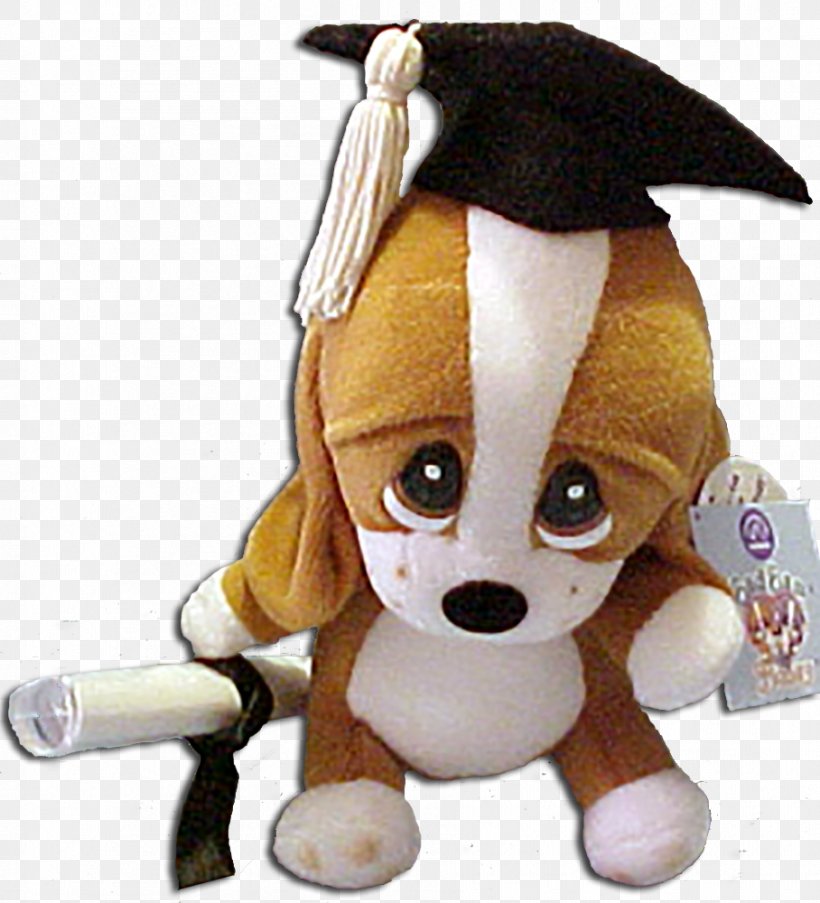 Dog Breed Basset Hound Plush Stuffed Animals & Cuddly Toys Graduation Ceremony, PNG, 908x1000px, Dog Breed, Basset Hound, Cap, Carnivoran, Diploma Download Free