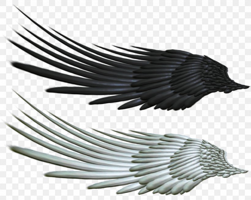 Wing Angel Bird, PNG, 1024x817px, Wing, Angel, Beak, Bird, Black And White Download Free