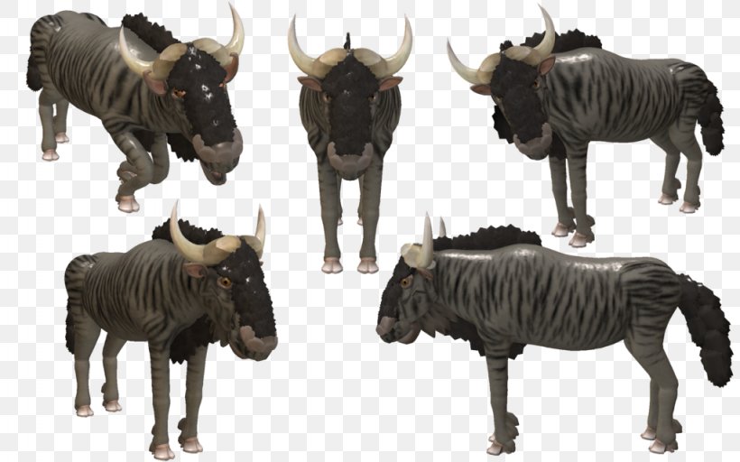 Cattle Quagga Wildebeest Terrestrial Animal Wildlife, PNG, 1024x640px, Cattle, Animal, Cattle Like Mammal, Fauna, Quagga Download Free