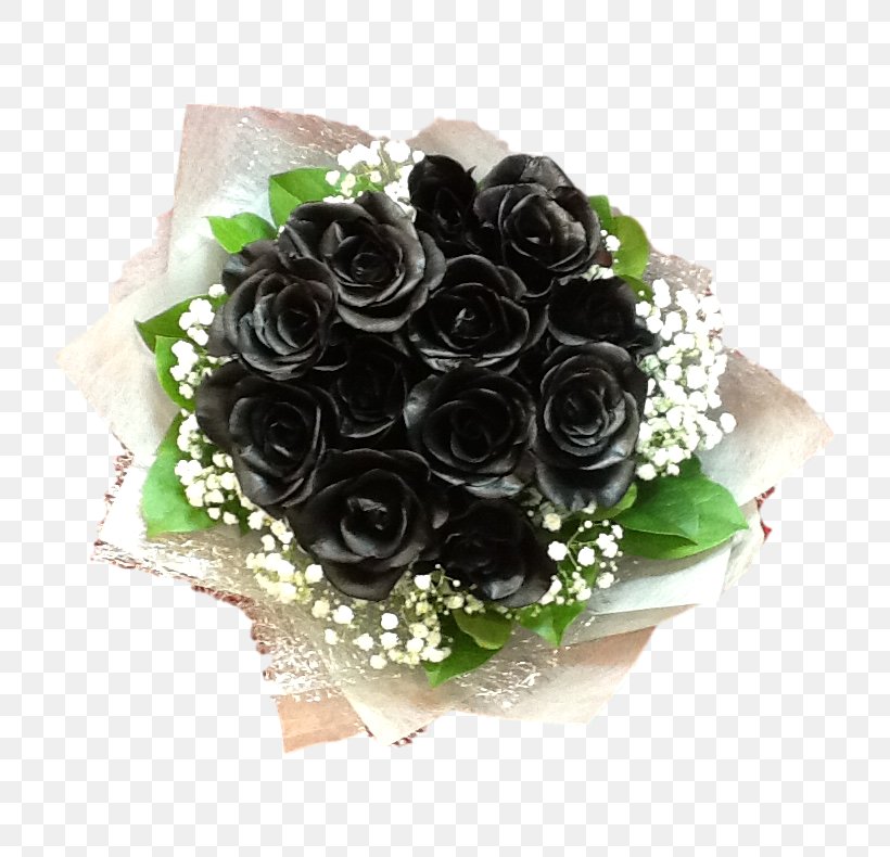 Garden Roses Cut Flowers Black Rose, PNG, 789x790px, Garden Roses, Artificial Flower, Black, Black Rose, Color Download Free