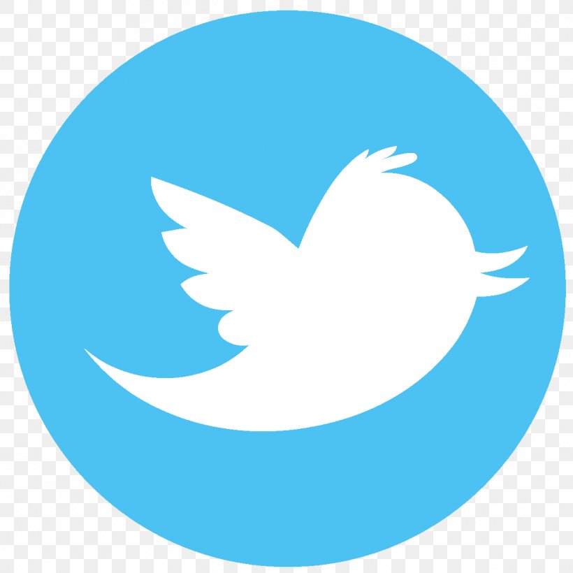Social Media Logo Image, PNG, 1217x1217px, Social Media, Aqua, Beak, Bird, Email Download Free