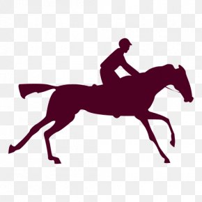 Sequence Vector - The Horse In Motion Equestrian Animals In Motion Photographer PNG