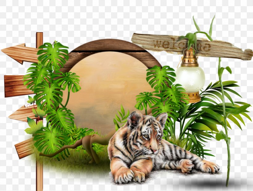 Tiger Felidae Man Big Cat CanalBlog, PNG, 950x720px, Tiger, Big Cat, Big Cats, Birthday, Canalblog Download Free