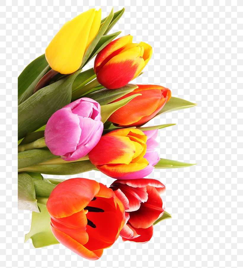 Tulip Flower Bouquet Cut Flowers Floral Design Nosegay, PNG, 700x904px, Tulip, Cut Flowers, Floral Design, Floristry, Flower Download Free