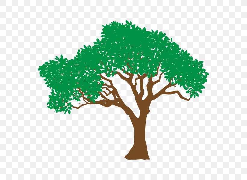 Broad-leaved Tree Illustration Silhouette Design, PNG, 600x600px, Tree, Branch, Broadleaved Tree, Facebook, Grass Download Free