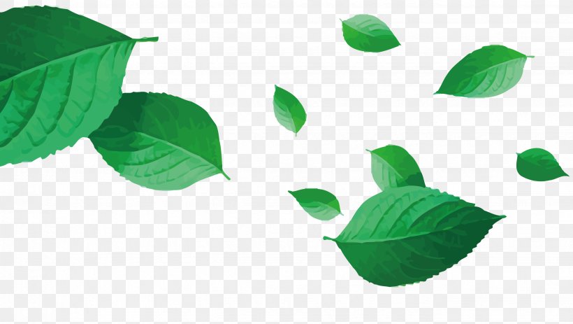 Green Leaf, PNG, 2653x1500px, Green, Brown, Camellia Sinensis, Designer, Drawing Board Download Free