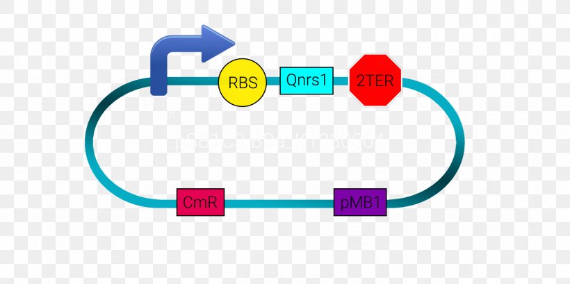 International Genetically Engineered Machine Plasmid BioBrick Promoter Genetic Engineering, PNG, 2362x1181px, Plasmid, Antimicrobial Resistance, Area, Biobrick, Brand Download Free
