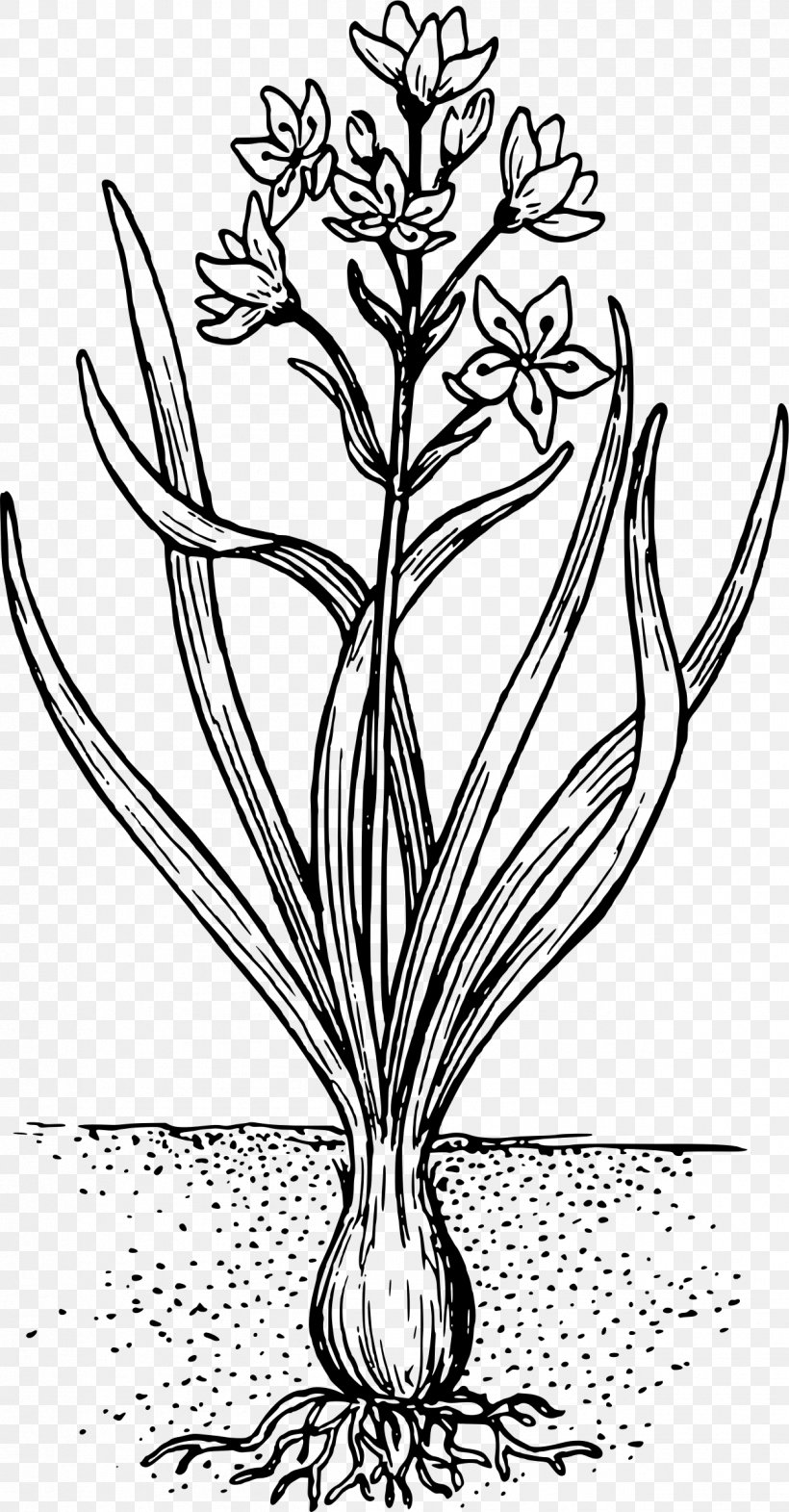 Twig Floral Design Plant Stem Leaf, PNG, 1252x2399px, Twig, Black And White, Branch, Flora, Floral Design Download Free