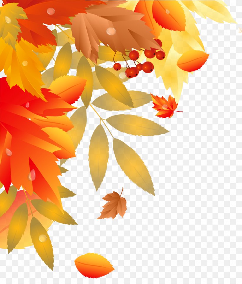 Autumn Hit Single Station De Ski Valinouet, PNG, 1043x1223px, Autumn, Dots Per Inch, Floral Design, Flower, Flowering Plant Download Free