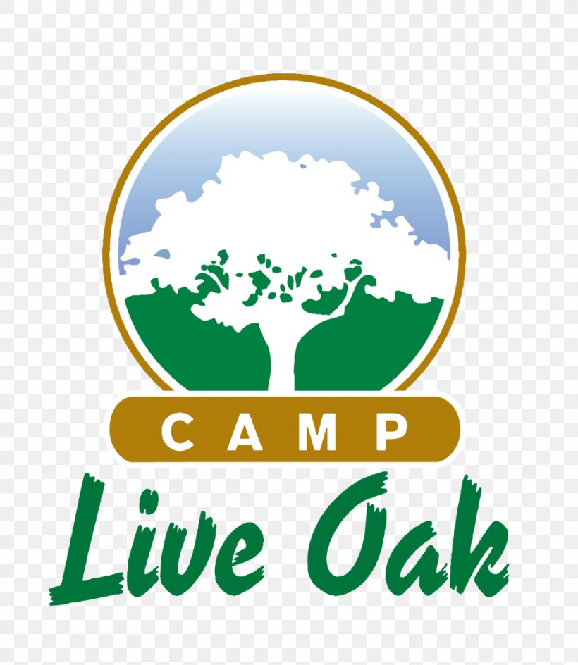 Hugh Taylor Birch State Park Camp Live Oak Summer Camp Recreation Camping, PNG, 960x1106px, Summer Camp, Area, Brand, Camping, Child Download Free