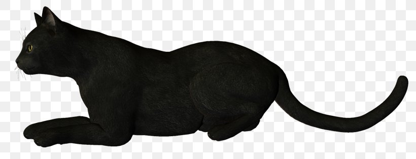 Whiskers Domestic Short-haired Cat Dog Canidae, PNG, 800x313px, Whiskers, Animal, Animal Figure, Black, Black And White Download Free