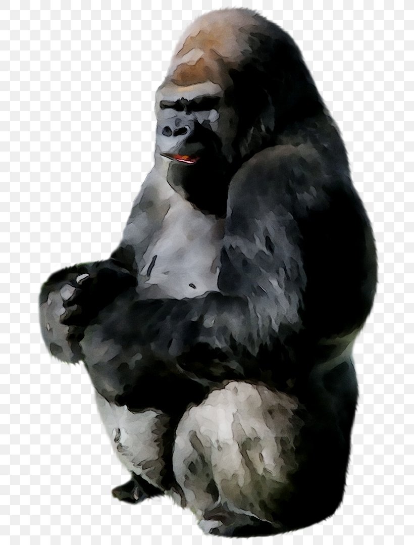Ape Western Gorilla Image Clip Art, PNG, 740x1079px, Ape, Art, Figurine, Gorilla, Primate Download Free