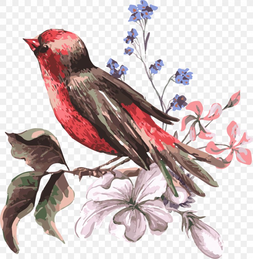 Bird Flower Euclidean Vector Illustration, PNG, 1147x1174px, Bird, Art, Beak, Branch, Common Cuckoo Download Free