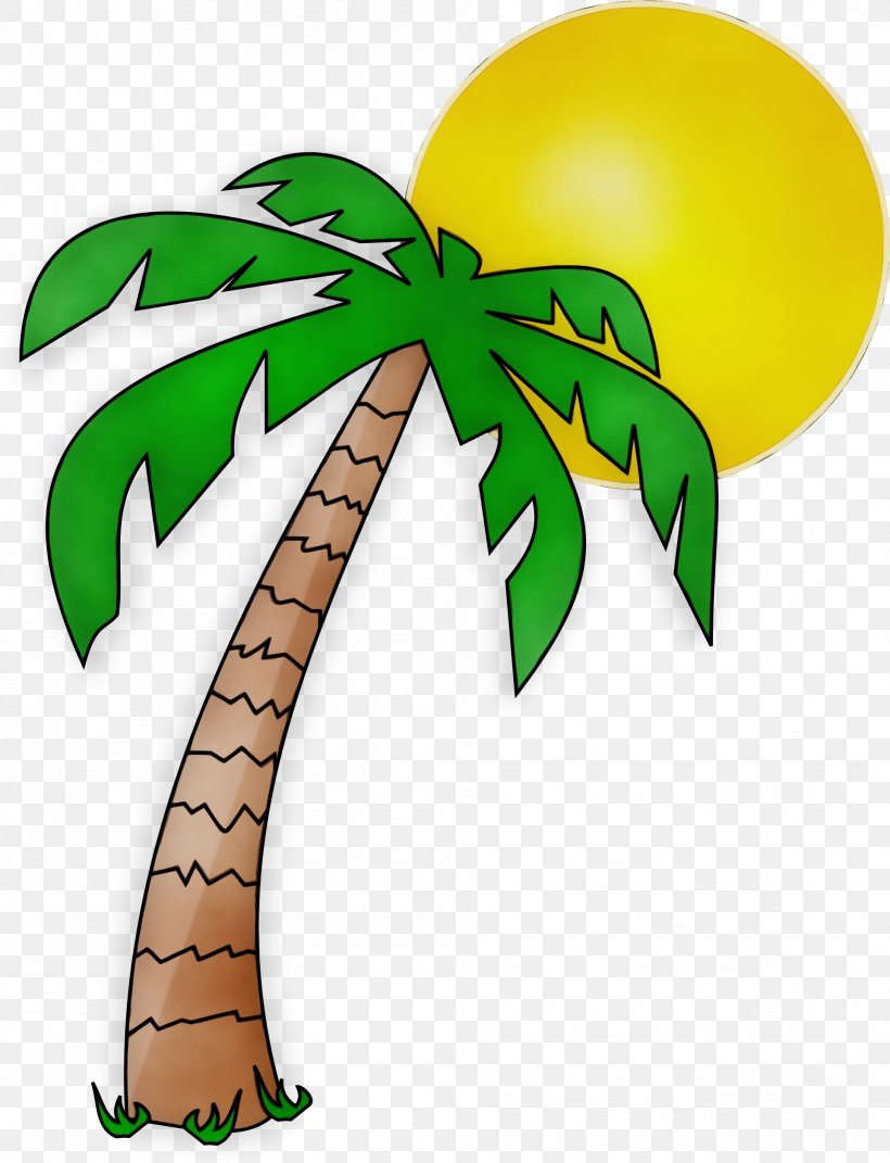 Coconut Tree Drawing, PNG, 1921x2510px, Watercolor, Arecales, Coconut, Drawing, Green Download Free