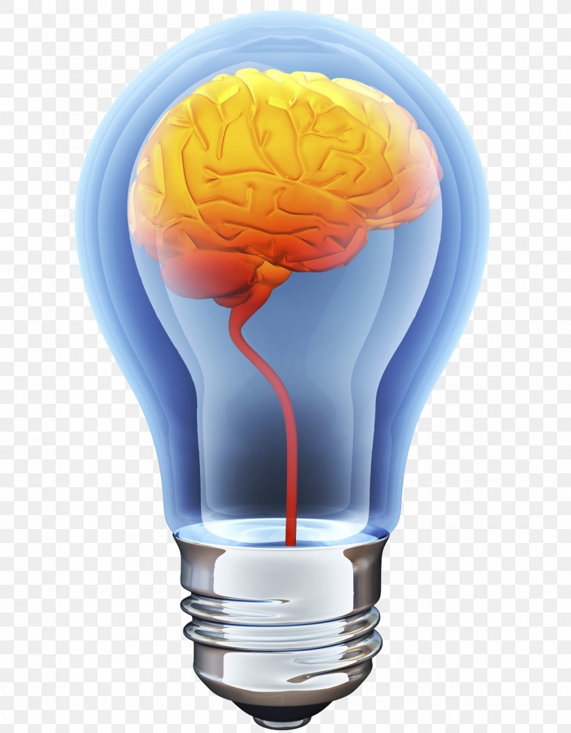 Human Brain Incandescent Light Bulb Stock Illustration, PNG, 1200x1542px, Watercolor, Cartoon, Flower, Frame, Heart Download Free