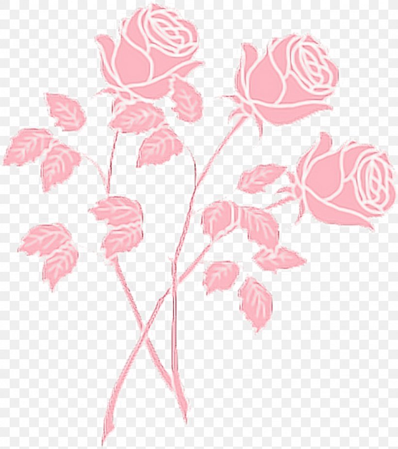 Clip Art Rose Pink Drawing, PNG, 1024x1156px, Rose, Aesthetics, Blue, Botany, Drawing Download Free