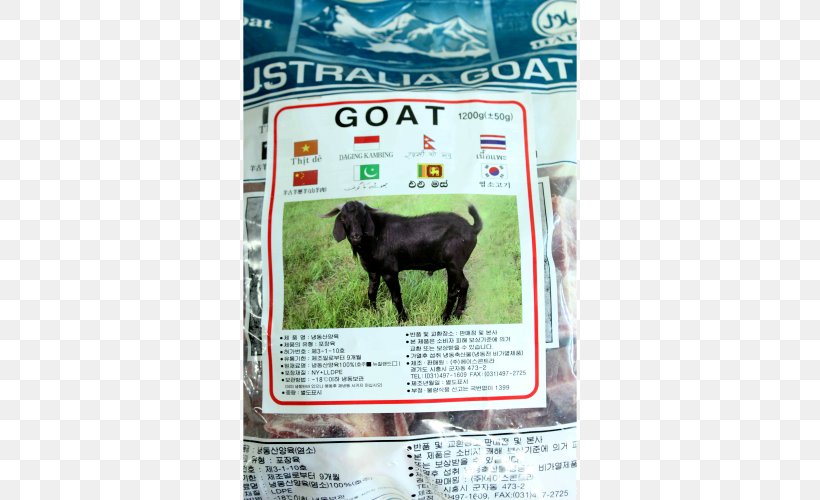 Goat Meat Halal 포린푸드마트 Foreign Food Mart Cattle, PNG, 500x500px, Goat, Cattle, Cattle Like Mammal, Cow Goat Family, Fauna Download Free