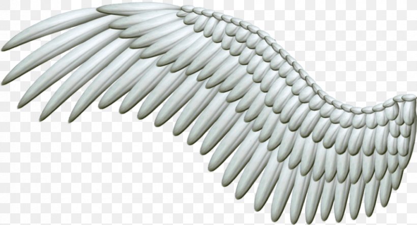 Clip Art Transparency Image, PNG, 850x460px, Drawing, Feather, Hardware Accessory, Wing, Wing Clipping Download Free