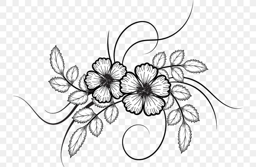 Flower Drawing, PNG, 737x534px, Flower, Art, Artwork, Black, Black And White Download Free