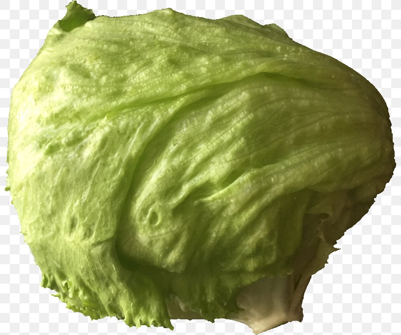 Iceberg Lettuce Lettuce Sandwich Salad Vegetable Clip Art, PNG, 800x685px, Iceberg Lettuce, Cabbage, Eggplant, Food, Greengrocer Download Free