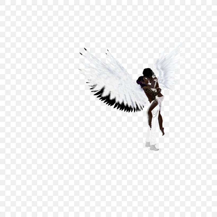 Desktop Wallpaper White Computer Feather, PNG, 2048x2048px, White, Angel, Bird, Black And White, Computer Download Free