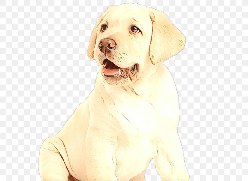 Dog Labrador Retriever Retriever Sporting Group Companion Dog, PNG, 600x600px, Cartoon, Companion Dog, Dog, Labrador Retriever, Retriever Download Free