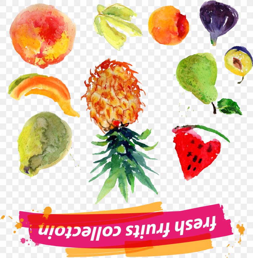 Juice Fruit Euclidean Vector Pineapple, PNG, 1183x1207px, Juice, Auglis, Cdr, Diet Food, Flower Download Free