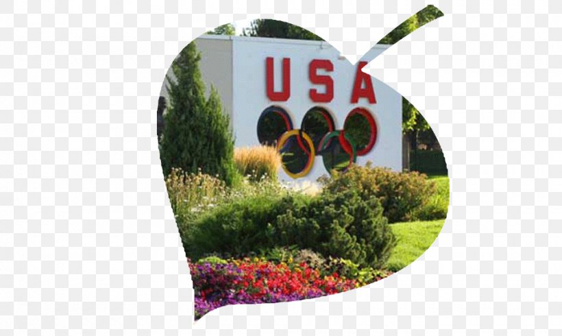 U.S. Olympic Training Center Olympic Games Olympic Plaza U.S. Olympic Committee Headquarters-Colorado Springs National Olympic Committee, PNG, 960x574px, Olympic Games, Colorado, Grass, Leaf, National Olympic Committee Download Free