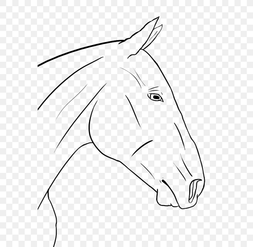 Snout Mustang Connemara Pony Line Art, PNG, 575x800px, Snout, Area, Art, Artwork, Black Download Free