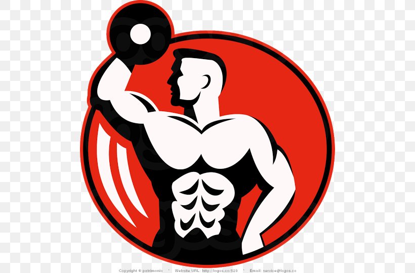 Bodybuilding Vector Graphics Fitness Centre Clip Art Logo, PNG, 530x540px, Watercolor, Cartoon, Flower, Frame, Heart Download Free