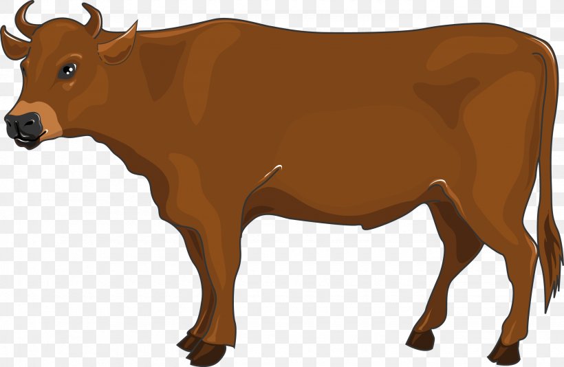 Dairy Cattle Ox Calf Beef Cattle Bull, PNG, 2670x1740px, Dairy Cattle, Animal, Animal Figure, Beef, Beef Cattle Download Free