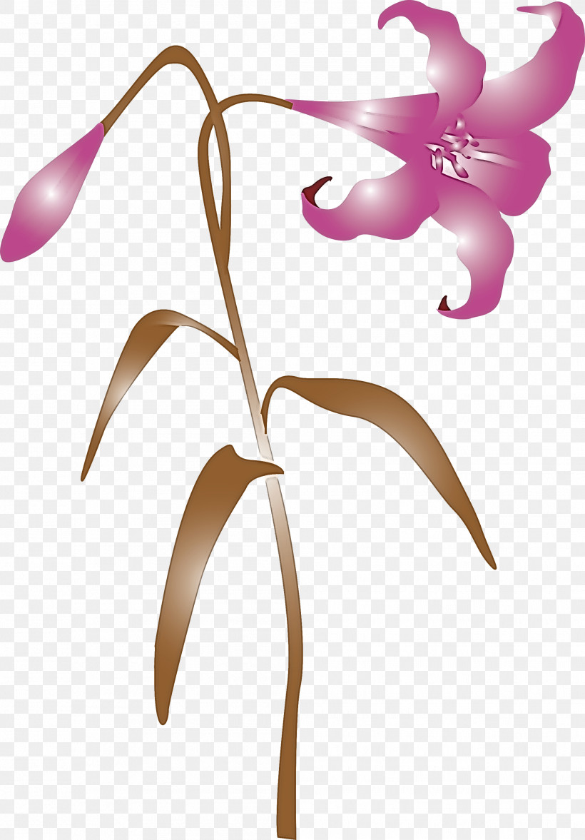 Easter Flower Spring Flower, PNG, 2089x3000px, Easter Flower, Cattleya, Flower, Herbaceous Plant, Magenta Download Free
