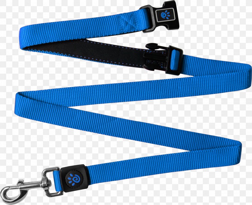 Leash Dog Nylon Strap .de, PNG, 2048x1669px, Leash, Blue, Com, Customer Review, Dog Download Free